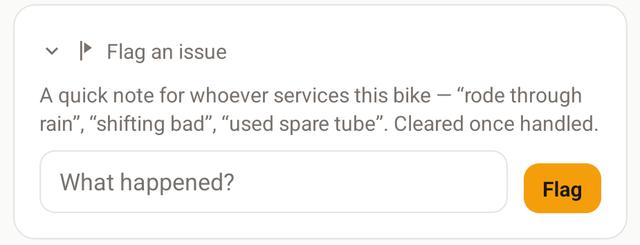 The Flag an issue card expanded, with a What happened? text field and a Flag button.